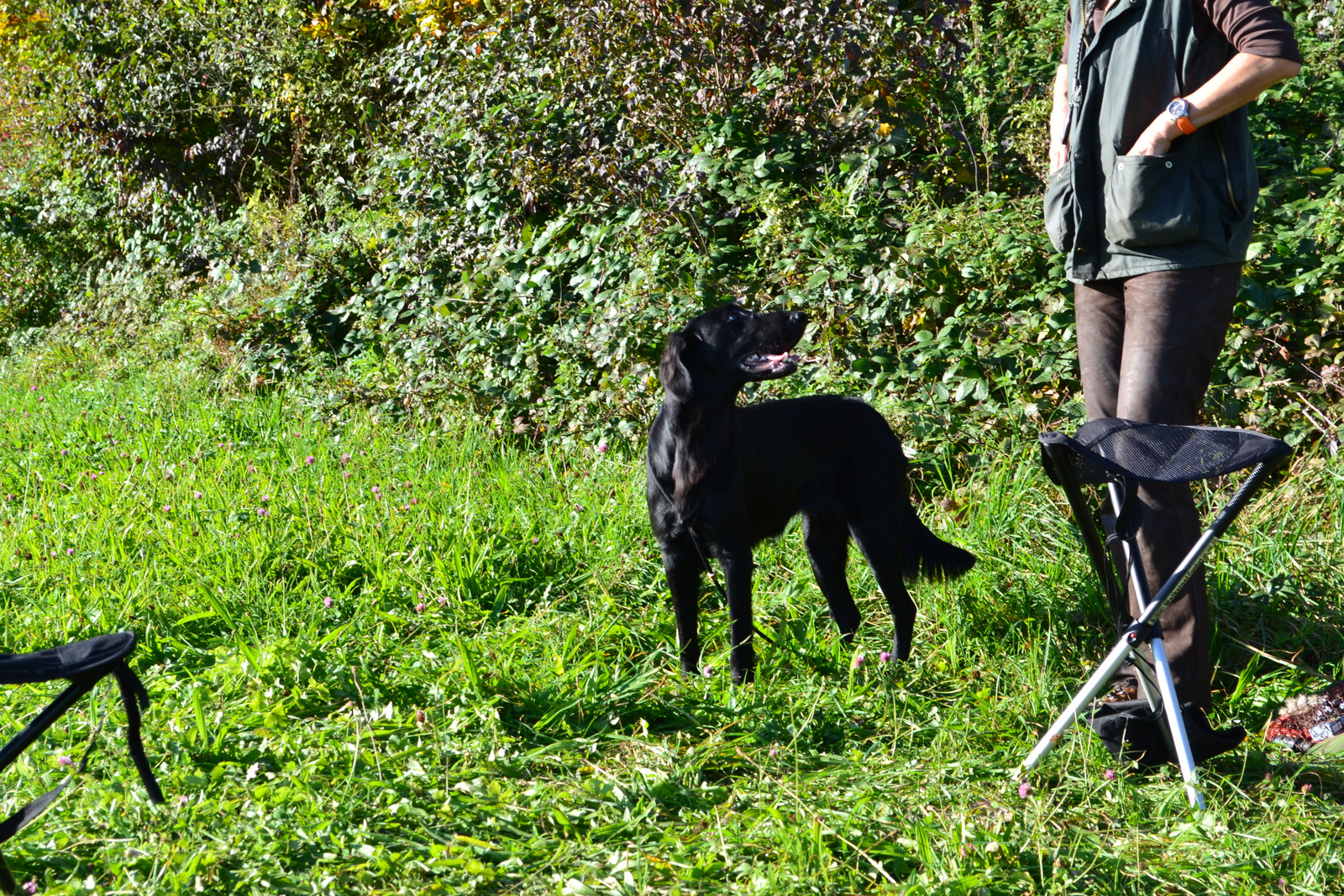 Seminar Jörg 19.10 026